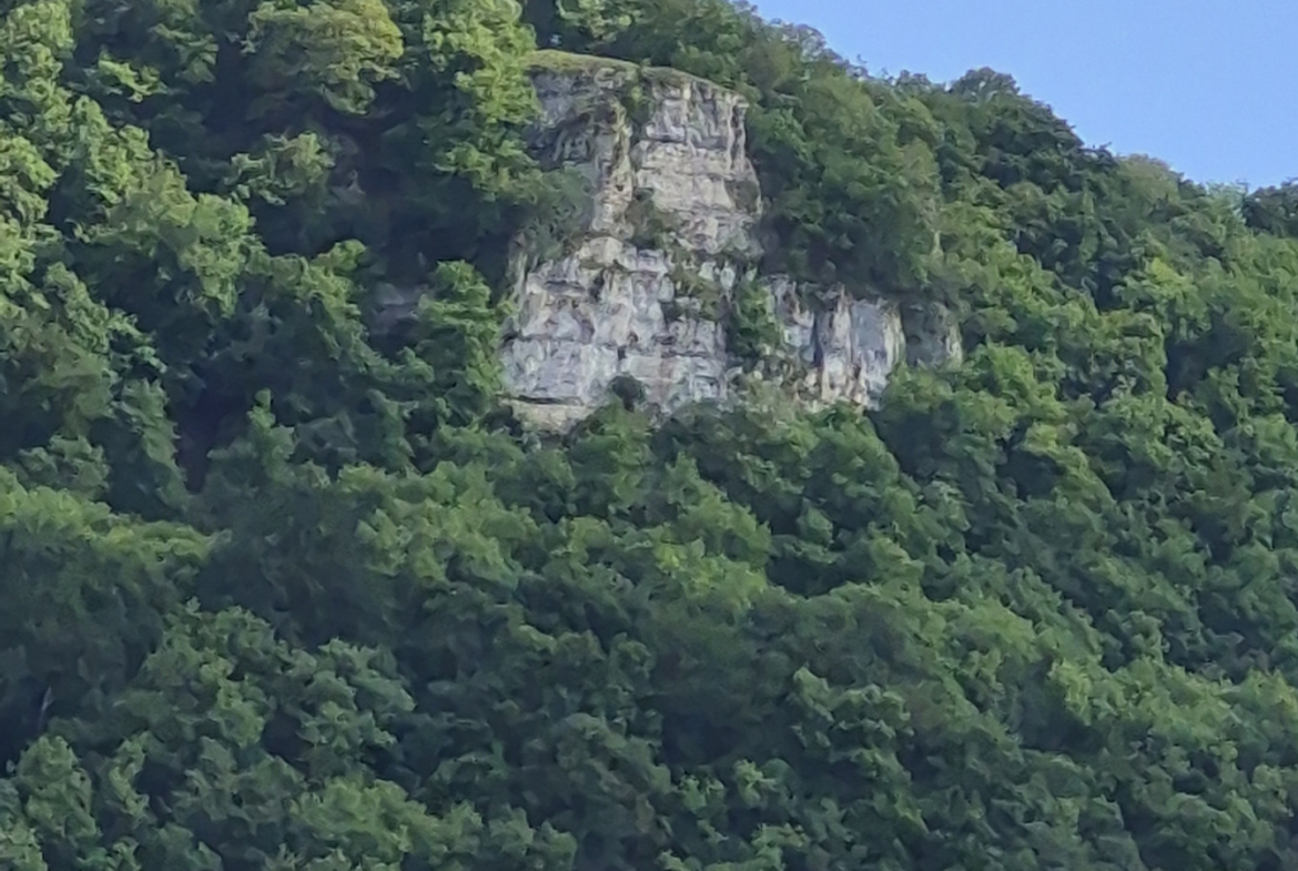 02bb477f