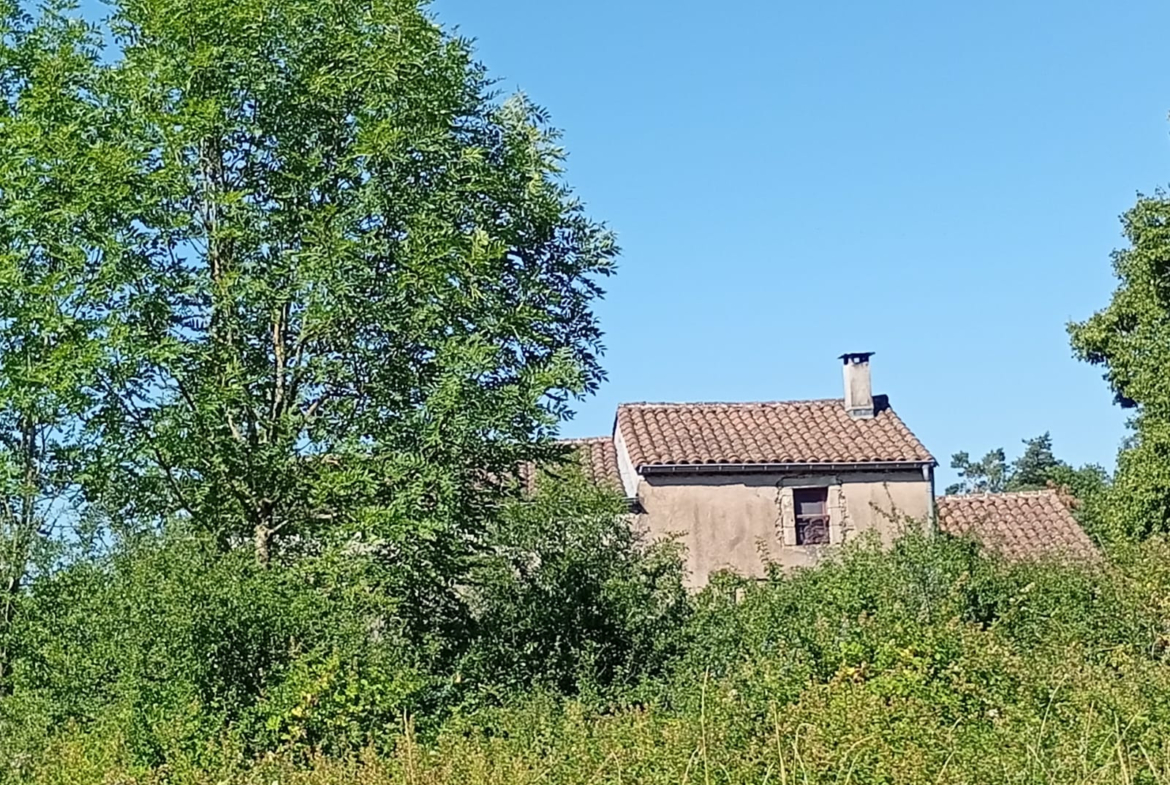 ef549515