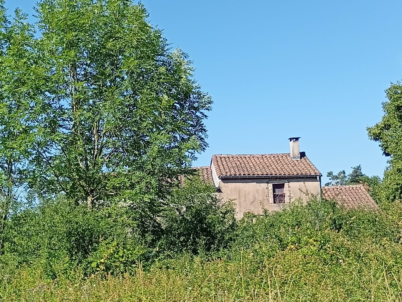 ef549515